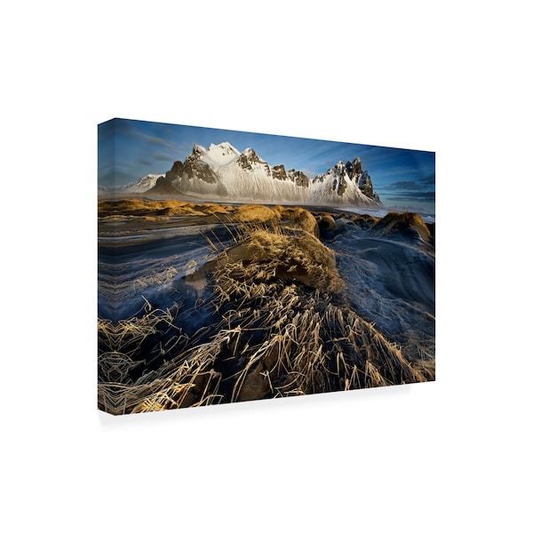 Trevor Cole 'Dunes And Sea Interact' Canvas Art,22x32